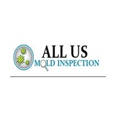 Mold Testing & Inspection Denver - Mold Removal & Remediation