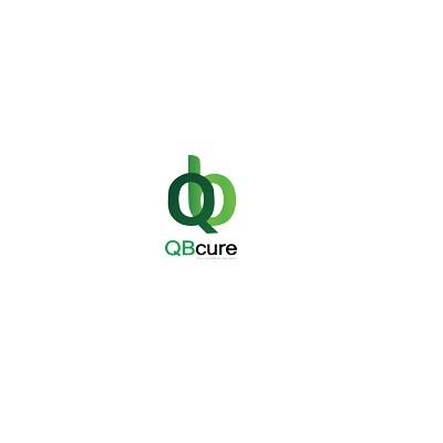 Accounting Services QB Cure