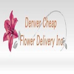 Same Day Flower Delivery Denver